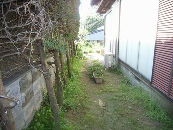 N邸（着工前）.jpg